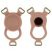 Ingen 10'' Enhanced Set L/XL/2XL (Flesh)