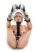 Fantasy Harness Black