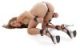 Heavy-Duty Hogtie Kit Black Heavy-Duty Hogtie Kit Black