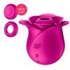 Pro 2 Modern Blossom Pro 2 Modern Blossom
