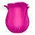 Pro 2 Modern Blossom Pro 2 Modern Blossom